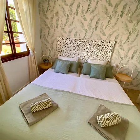 Amazing With Ocean View Lejlighed *
